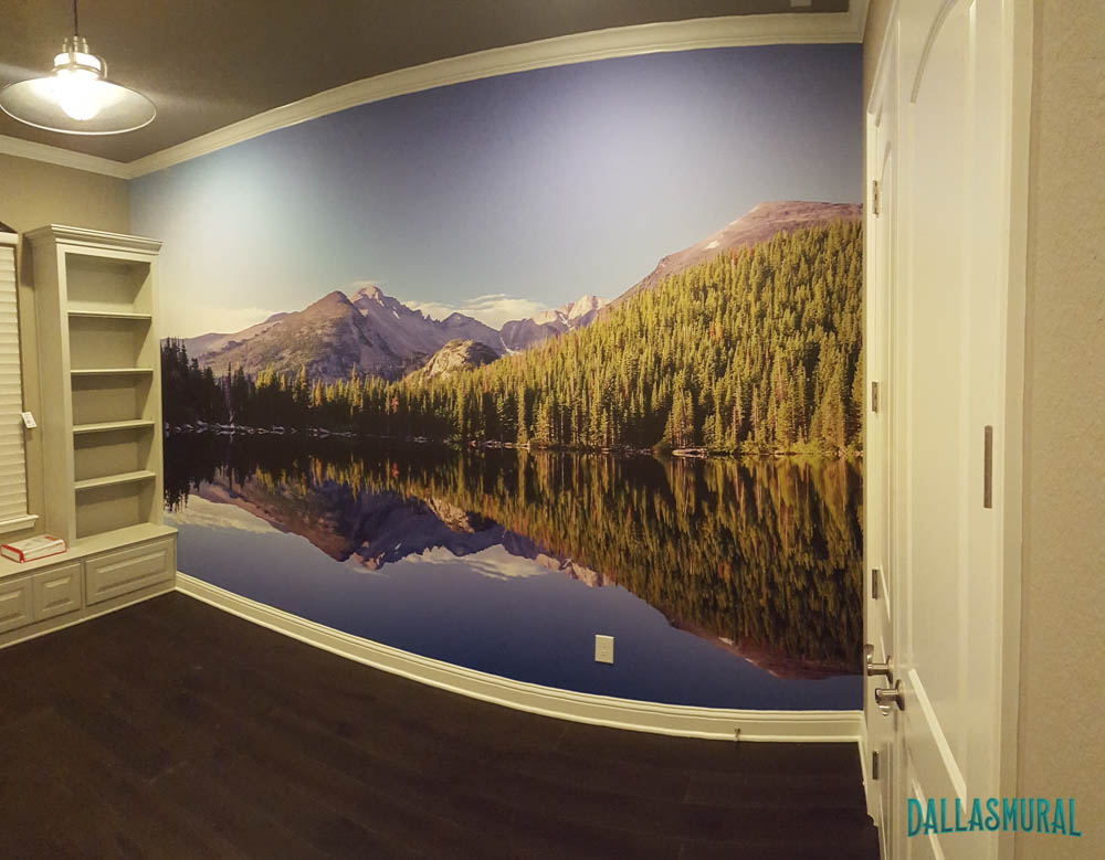 Dallas Mural Client Gallery | Custom Wall Murals in Dallas Texas ...